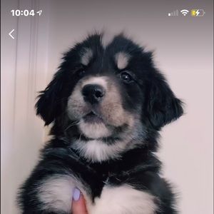 Meet your Posher, Kaylee